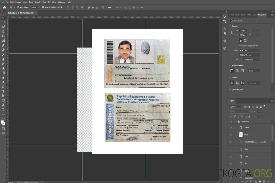 Carte d'identité professionnelle du Brésil template Carte d'identité professionnelle du Brésil template